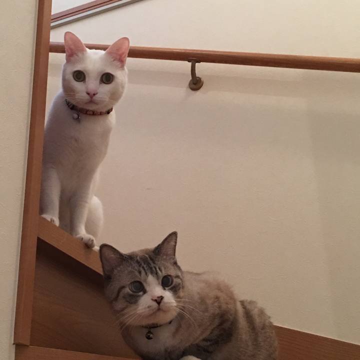 60886e26 d0b6 4a66 aa09 924697aa0750