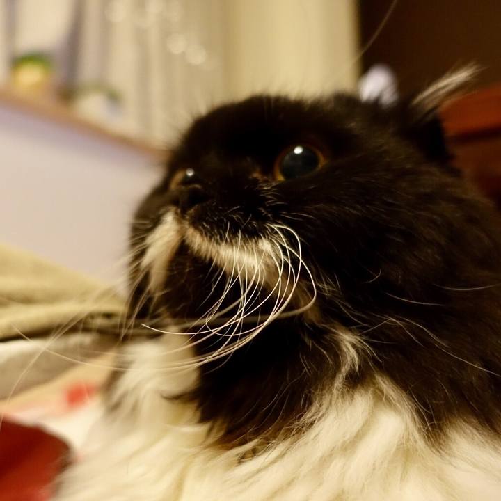 6088c3a6 88d3 43fa ad4e cbb71ba1cd8a