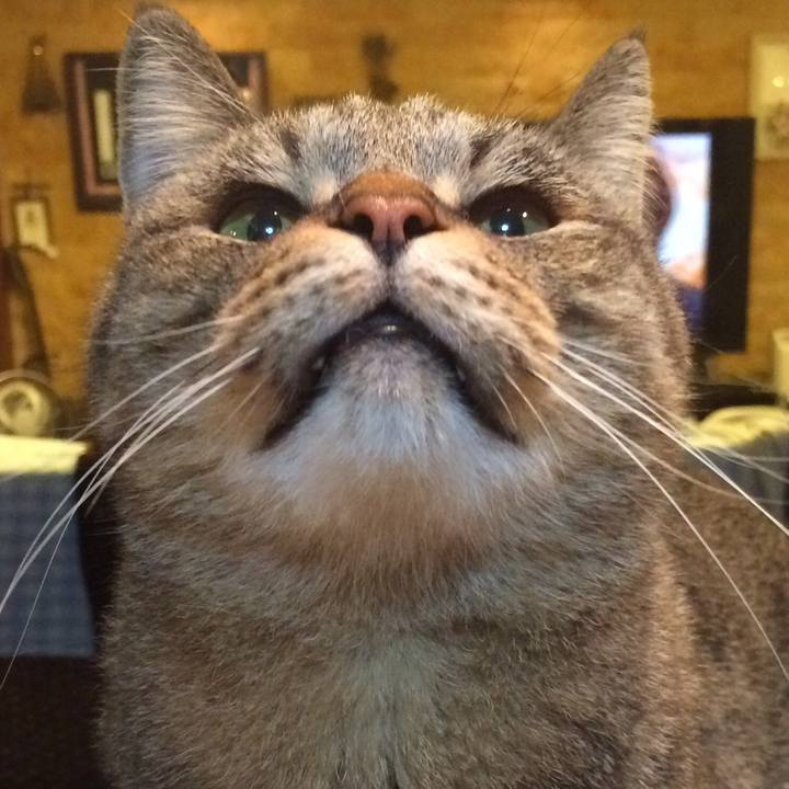 6088c76e c2fe 4ed4 bcb5 af5ca16d15f9