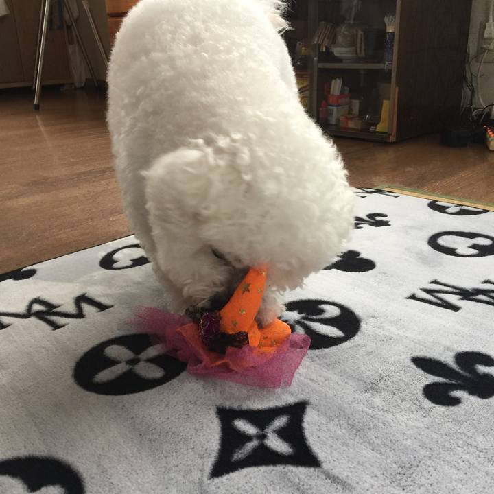 60890d12 4fc6 400e b435 3b62b43a95d6