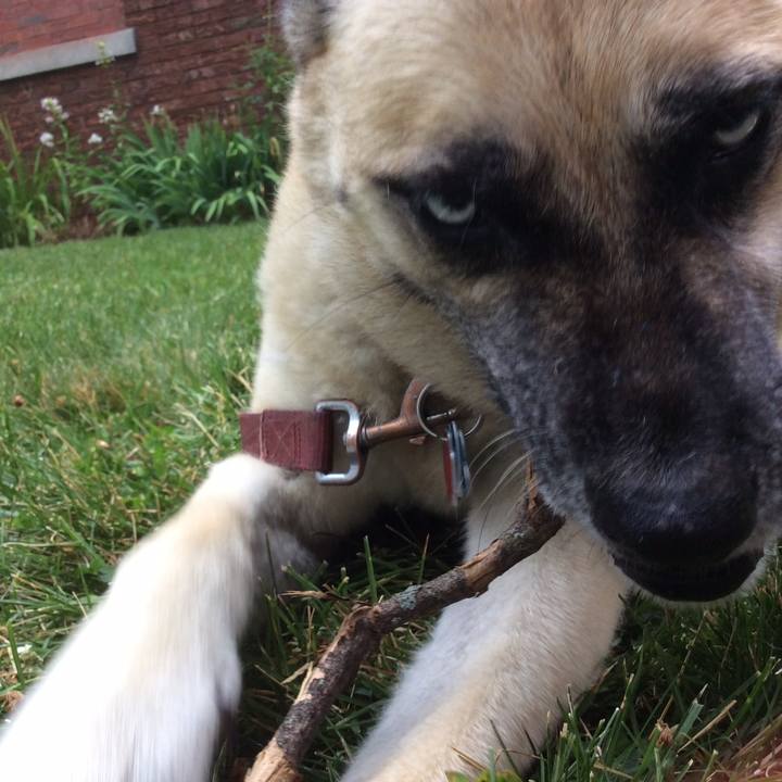 6089c652 b181 4c7e b2b7 1f58c83bfd2c