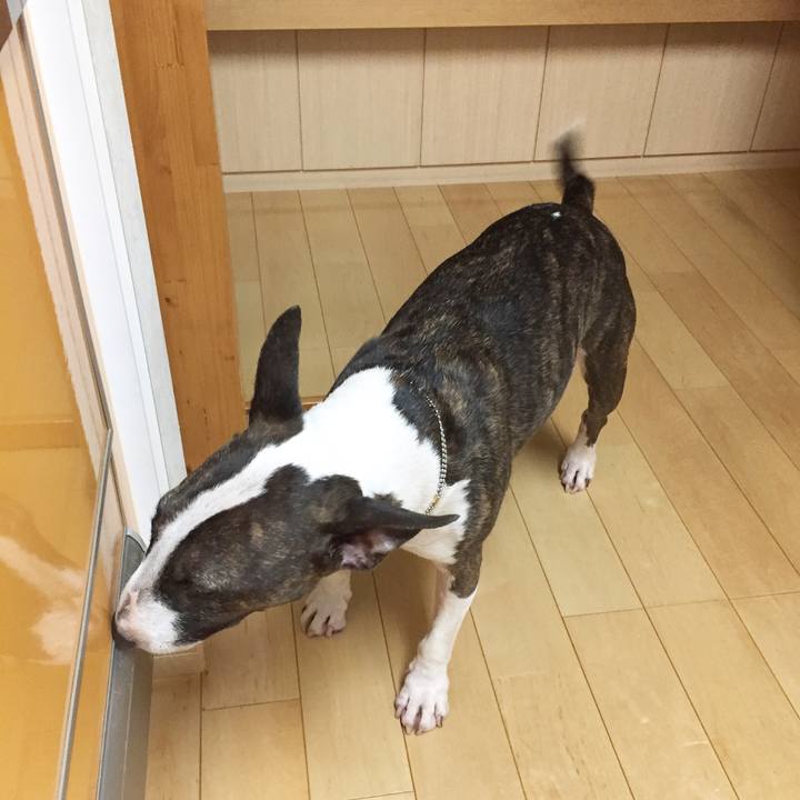 6089e392 2944 4a70 a988 0d7427824b57