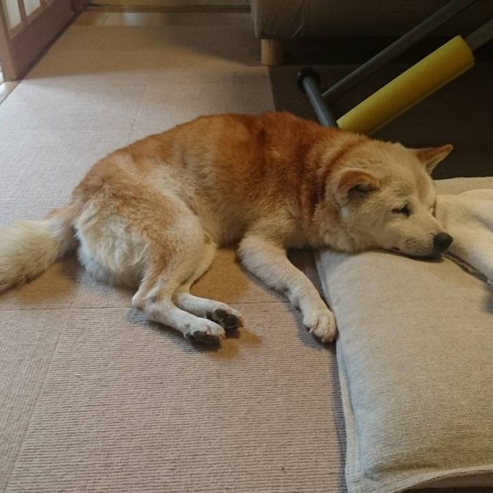 608a6acf 2015 4e1e 8e8f cd196cec310c