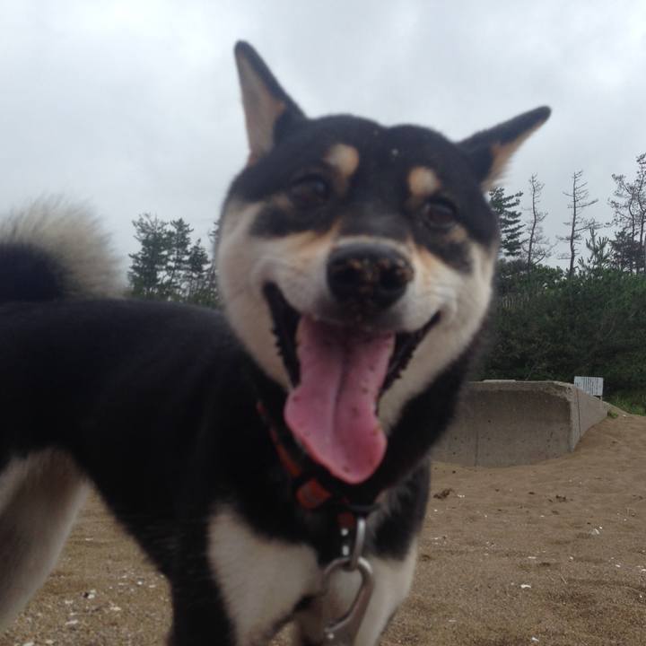 608a7806 f8c6 4240 b812 26bab8212891