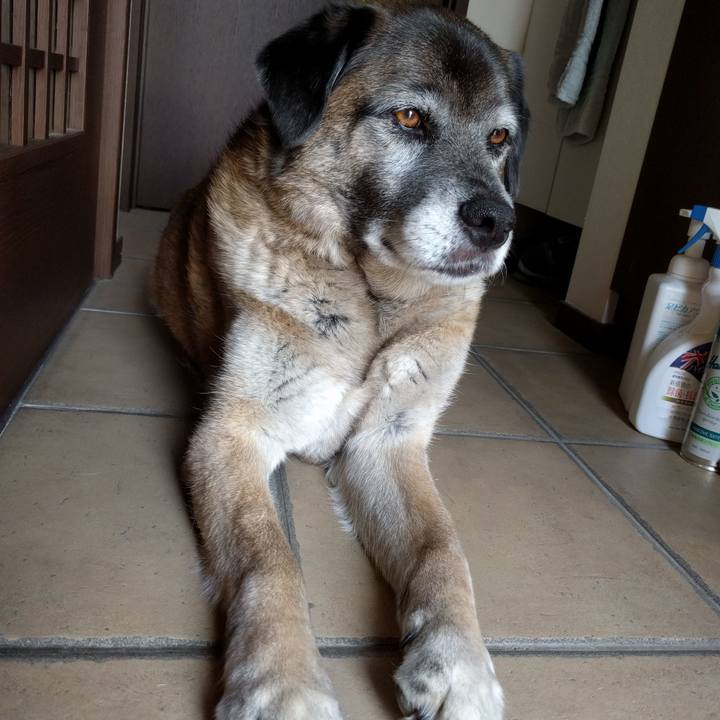 608b3374 8d96 4da5 8660 eee3cd9d2f62