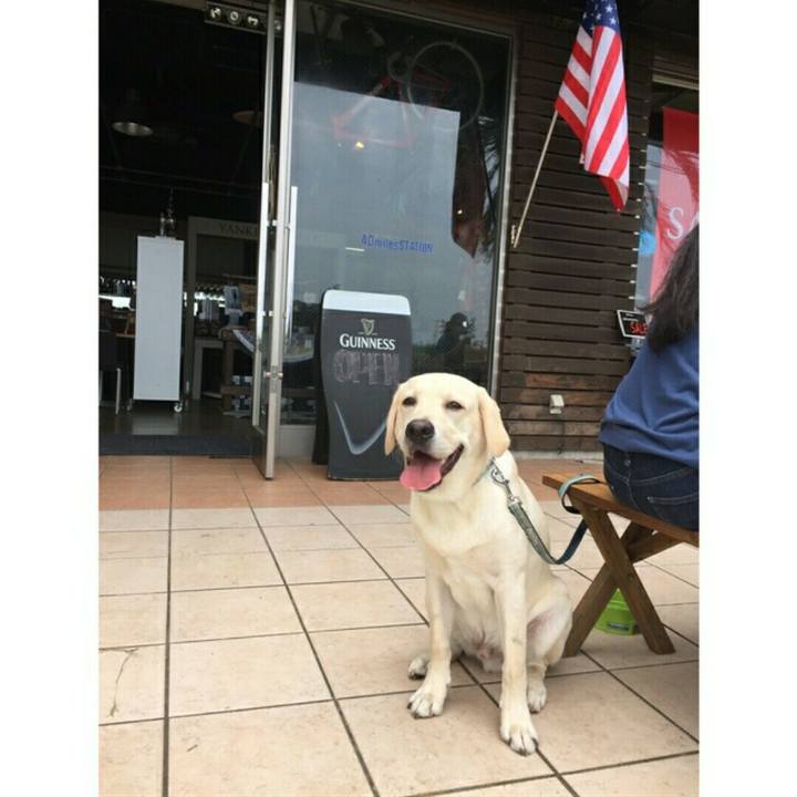 608b761f b29a 4e60 9d2f 8672376cd4f6