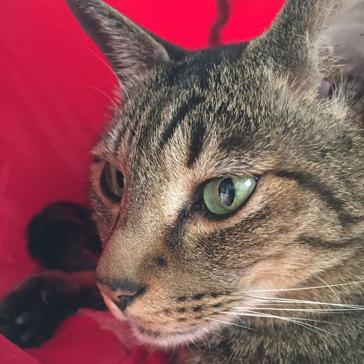 608b82ae 0fcb 46d6 9b96 030bd55886e7