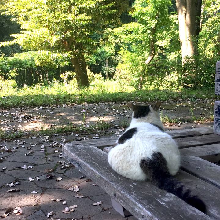 608bd5d8 e266 40a7 aaca cbcd8553c855