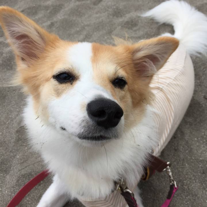 608c2eab e638 45ee bfb7 87c8ce8ac768