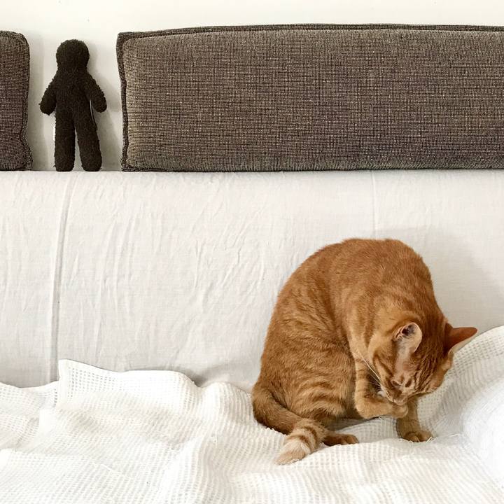 608c9181 07c2 45c2 8798 690d5ae134ea