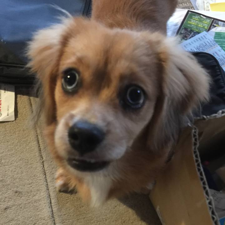 608cba32 13f9 43fe 81f0 dd4067847188