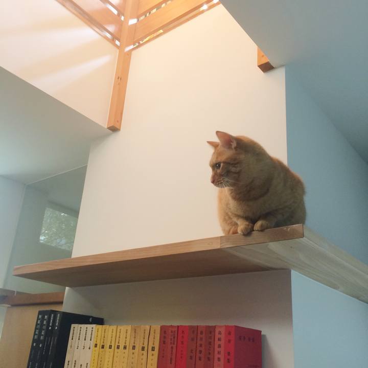 608ea30e a153 41a6 ab2f 7f70be5b903a