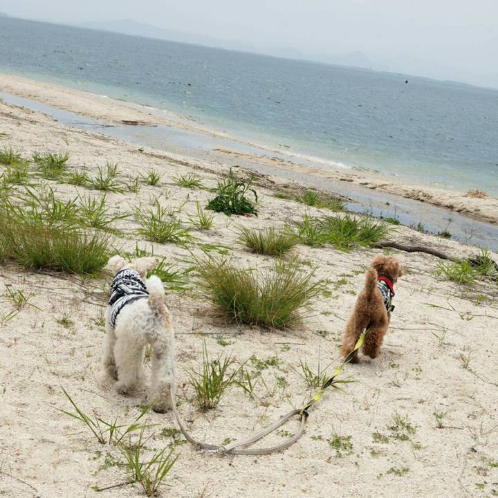 608ecc07 9f7d 4bf3 beca e89aede25190