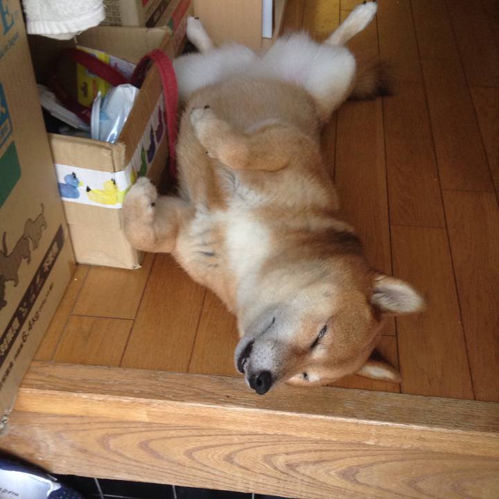 608f25d2 f24f 4a32 8ebf 1fce09c68513