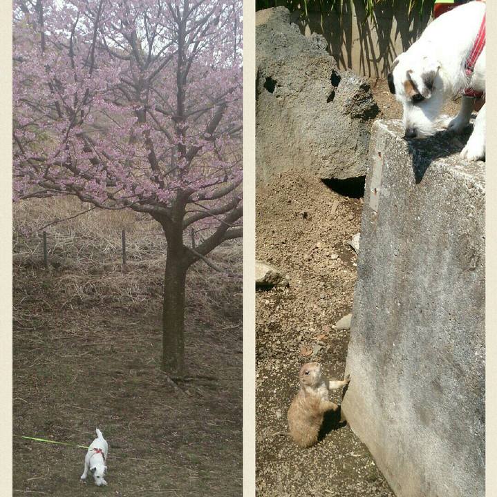 608f98e5 a51b 42d3 8d14 346ef8e0015d