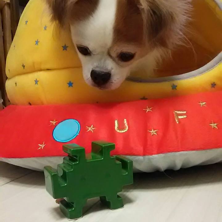 608fad4c 79c0 4f75 a64c 1364d74eca74