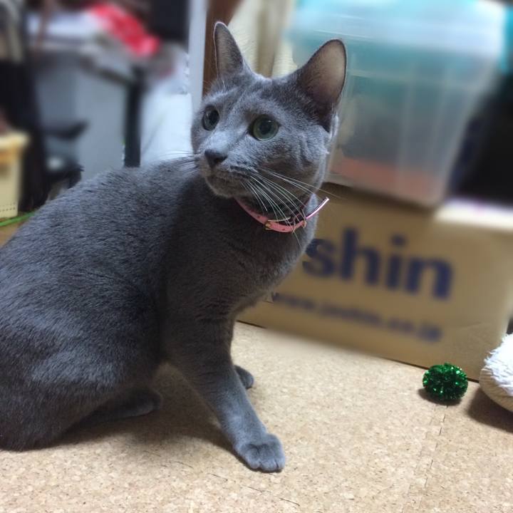 6090cd32 57c7 4086 b4d9 22f69d1c858a