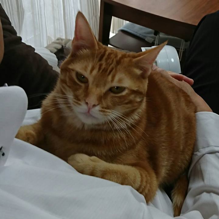 6090efa9 6f8a 405e b297 9332d33e5a8c