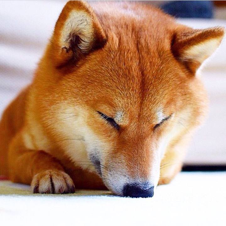 6090fd82 86df 4bd5 bf37 14bc0b82f0cc