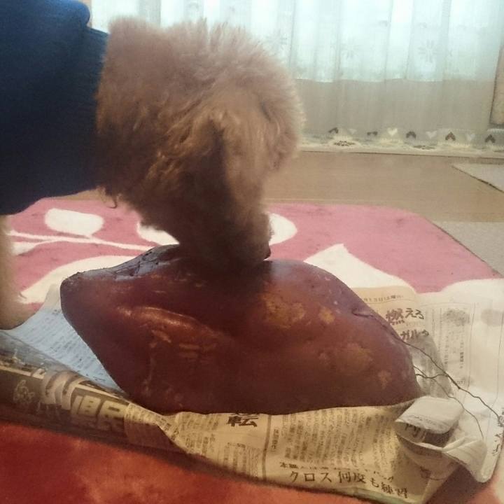 609157d1 065a 433f 977c 2a9a5c7ca75a