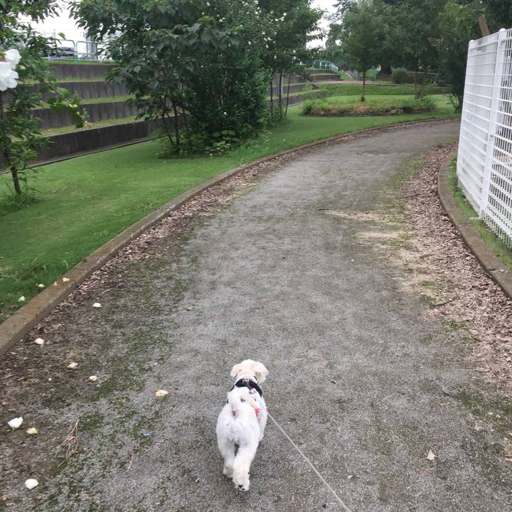 60925d24 bfd3 4439 aaaa bdb91cb5f0b0