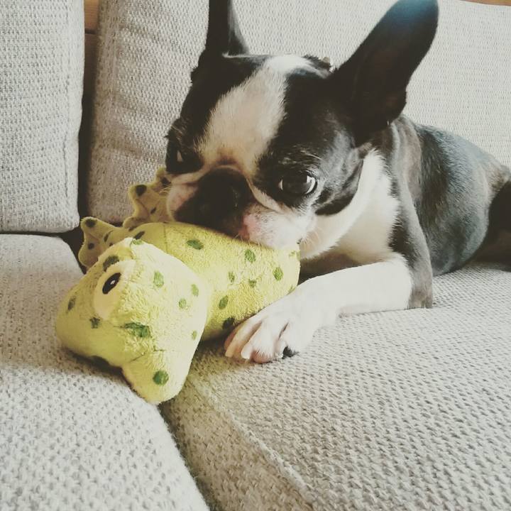 6092bbfb 5889 4737 858e 27267d3d5317