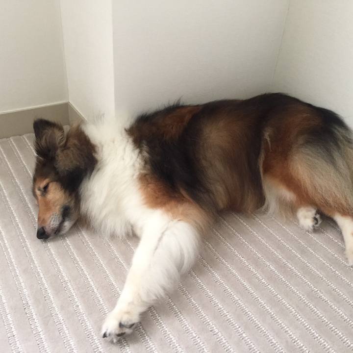 6093cf94 8c24 4a6f a174 1c935af089b8