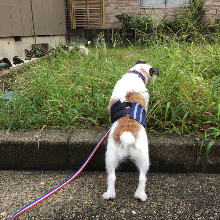 60947710 414b 4125 960c 1ebe6434659b