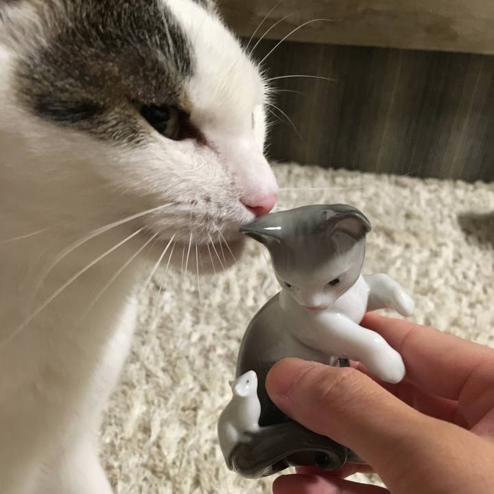 609587ba 8950 46ec a755 eb6612df90b9