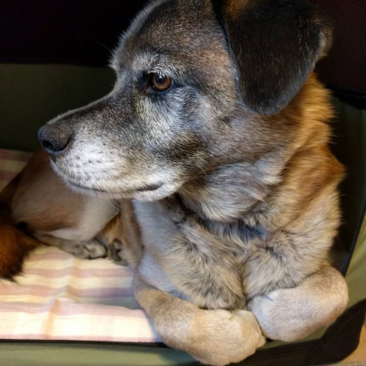 6095d2aa d17f 42ab 90a3 2347dbee7148