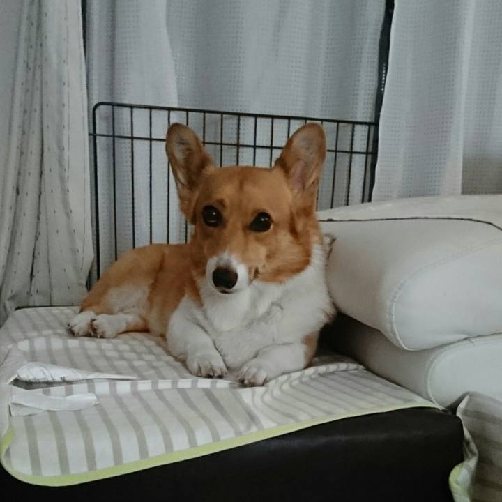 6095e6ff 0530 4f30 96ff 129f19fe5a6a