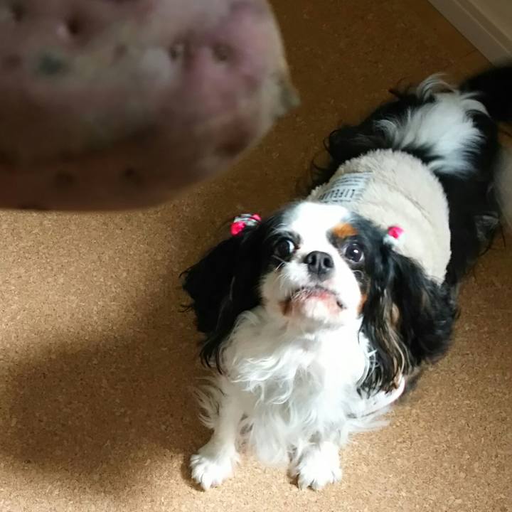 6095e93e 3db1 46f6 8bd1 2fb98ecd6c3c