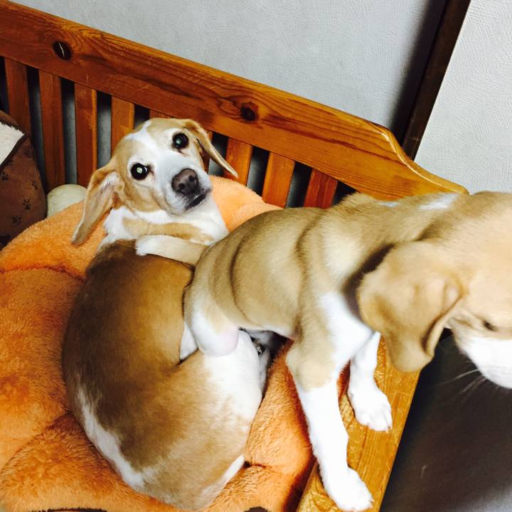 609684c7 7e61 453e a3e2 717965168f75