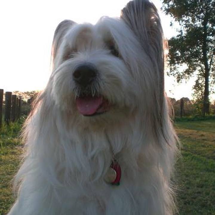 60969087 371c 4474 9654 3b873b899645