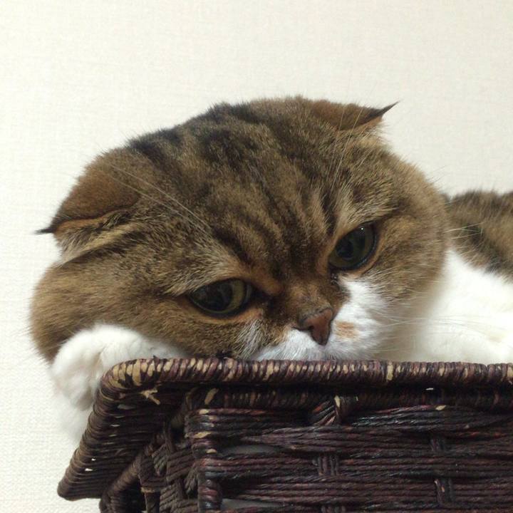 6096d76e 5cfc 4364 8381 cab5ce0baede