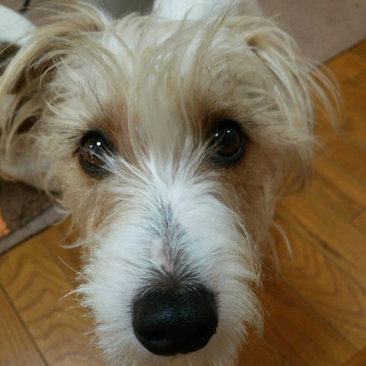 60974a77 5fb2 447e a770 e1096ad47f80