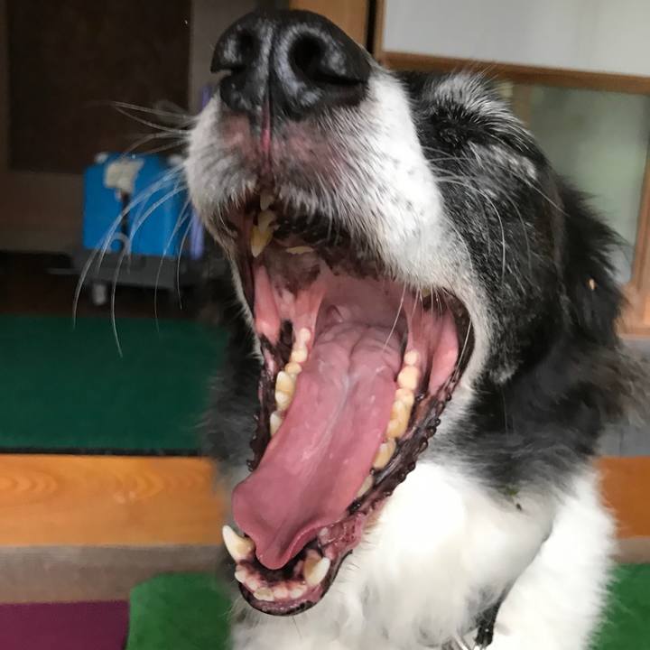 6097c840 34db 4120 9666 41647846470d