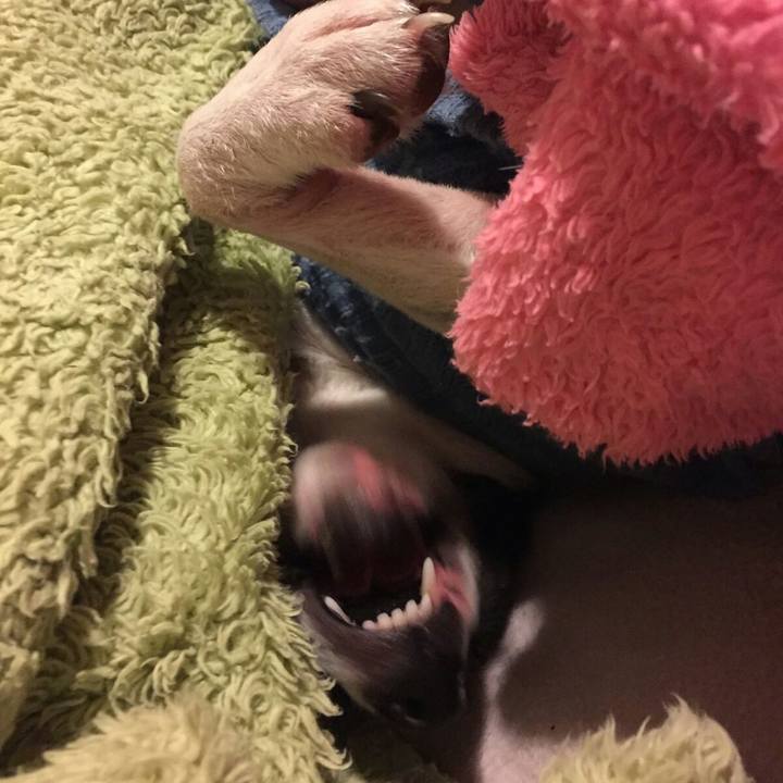 60980b89 72f6 4efa aaa0 7a8a002d1a6c