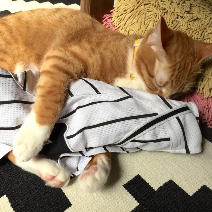 6098fb17 f1fc 4f73 9184 cf4e82bb5748