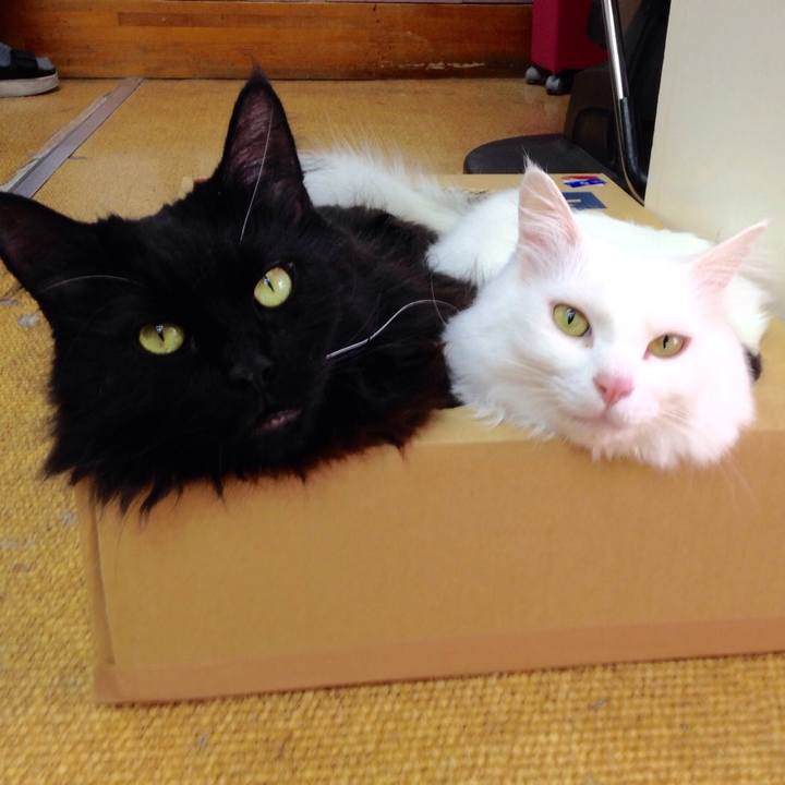 609935e8 07df 415d 94e1 0e63f7545795