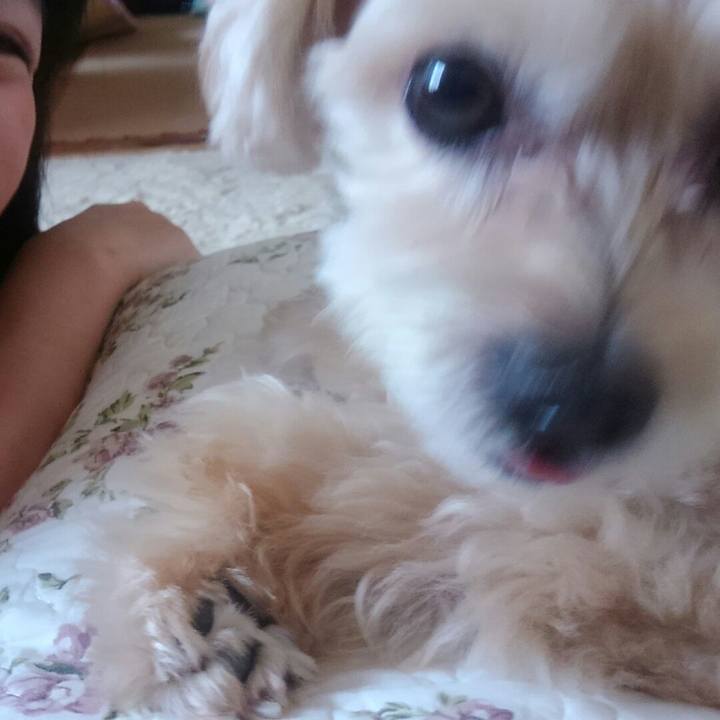 6099e46a 1793 4699 9ce5 7fdaf01f9ab3