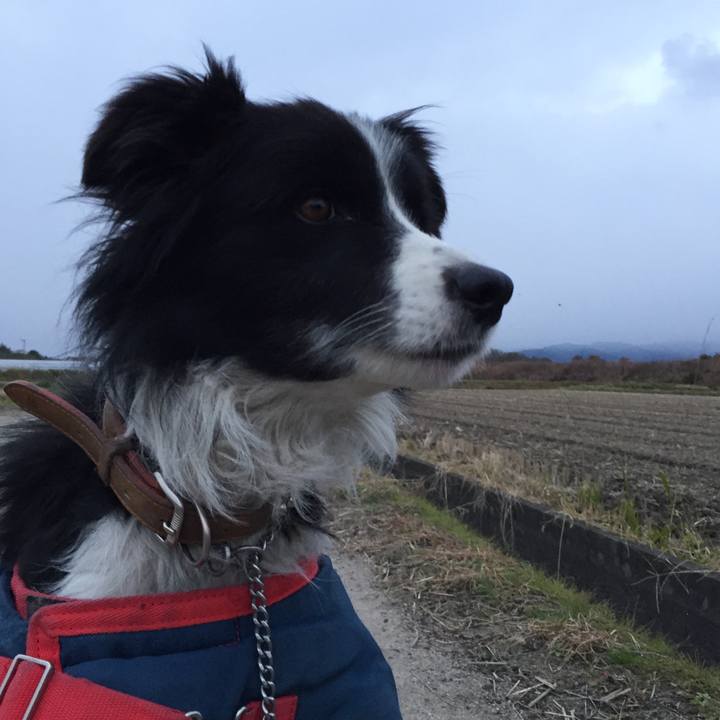 609acea2 ce93 41eb 961e ac99cc34ea76