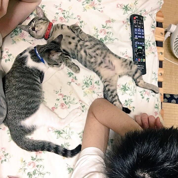 609b4235 6a58 444c b98d c08119ad0b87