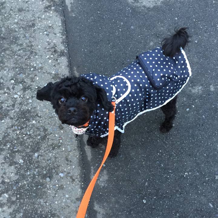 609c5a5e e936 4611 8b5b e6942da06fa7