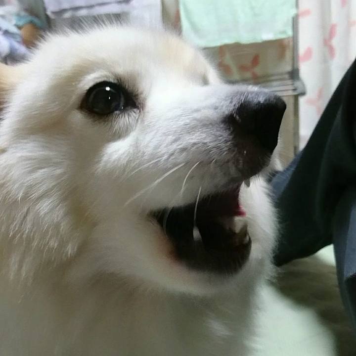 609dd42a 8d8a 4290 b9e2 32de01edb594