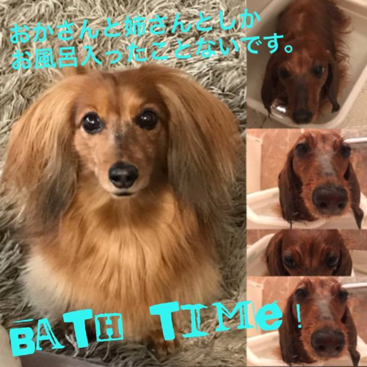 609e0b20 1c61 468c a5b6 aa02511bf069