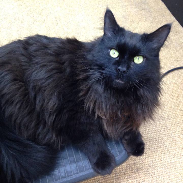 609e171e 215a 46c6 9b7e df039a3d9d74