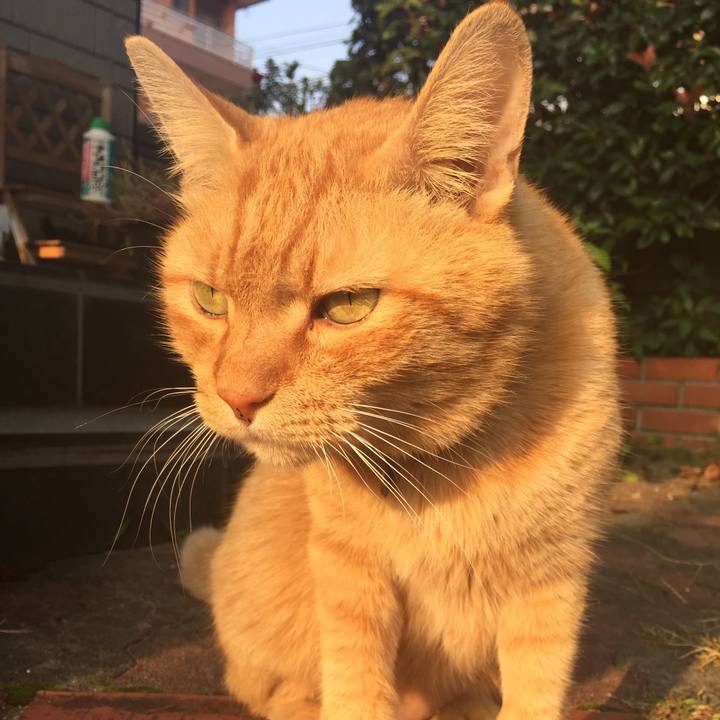 609e3f65 c6f1 452a 92d1 3bf3c32f2aa7