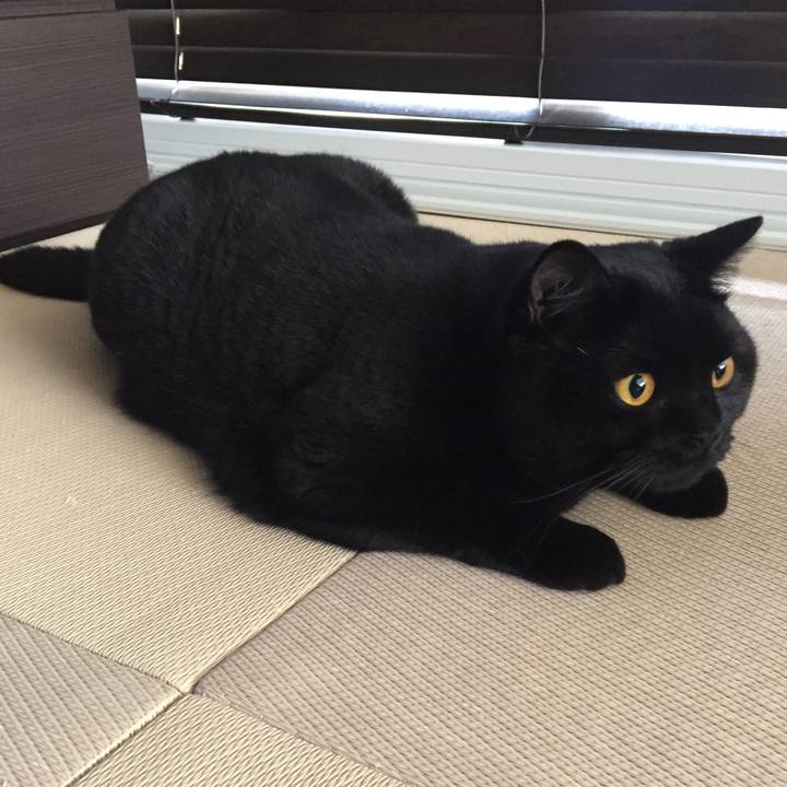 609f456d 196b 4948 9d9c 2a6ad792b33e