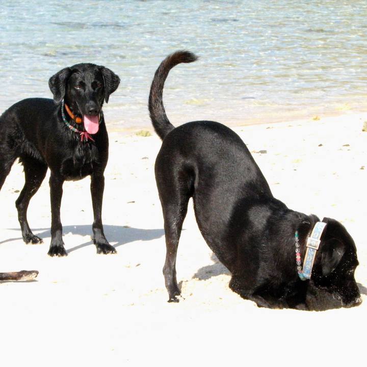 609fce6f 46f7 4573 a5e5 5295fee3368a